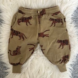 Zara pants 12-18 mo